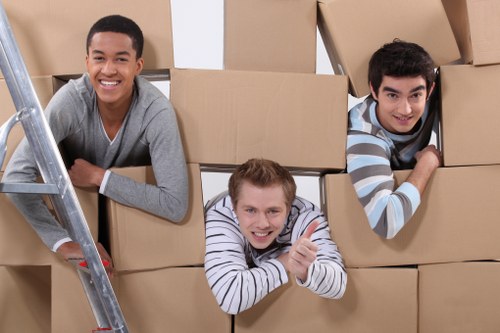 Professional removals service handling boxes and furniture
